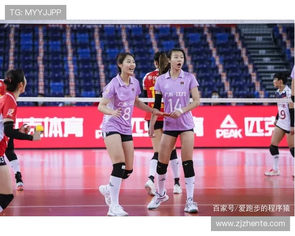 南京排球队实力深度剖析与其他球队的对比分析